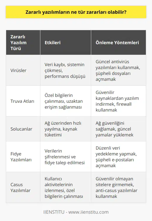 Zararlı yazılımlar bir bilgisayara zarar verebilecek çeşitli etkilere sahiptir. Bunlar arasında; bilgisayarda virüslerin yayılması ve buna bağlı veri kayıpları, özel bilgilerin çalınması, sistemlerin çökmesi, zararlı kodlarla kötü amaçlı kullanımlarla güvenlik açıklarının çoğaltılması ve bilgisayardaki performansın düşmesi sayılabilir.