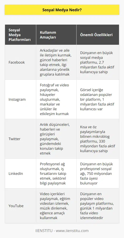 Sosyal medya, kullanıcının kendi ürettiği içeriği yayınladığı ve paylaştığı online ağdır, kişilerin internet üzerinde birbirleriyle yaptığı diyalog ve paylaşımların bütünüdür. Zaman ve mekân sınırlaması olmadan paylaşımın, etkileşimin ve tartışmanın mümkün olduğu dijital bir iletişim şeklidir. Sosyalleşmenin yanı sıra günümüzün en önemli reklam ve tanıtım araçlarındandır.