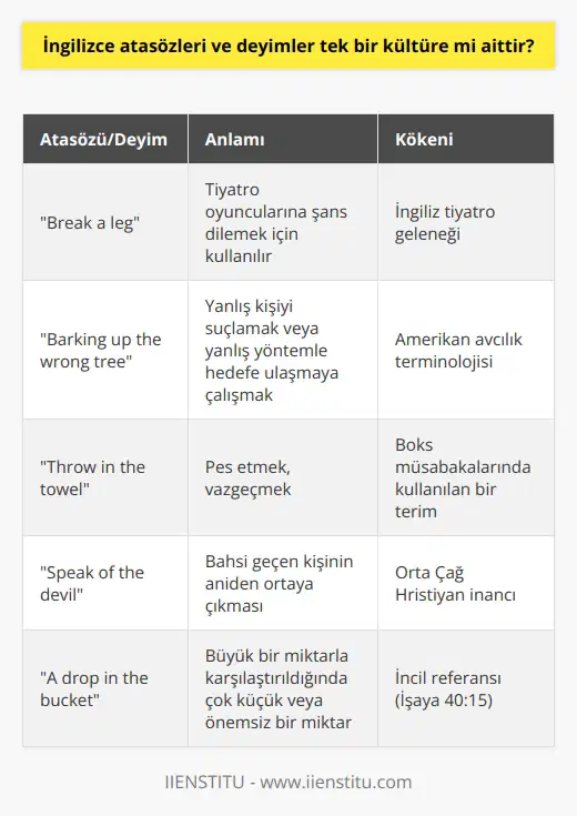 İngilizce’nin pek çok farklı millet tarafından ana dil olarak kullanılması nedeniyle böyle bir kabul geçerli olamaz. Her millet kendine özgü olan kültürü ile dilin gelişimine katkı sağlamıştır. Atasözü ve deyimler de farklı kültürlerden aldıkları değerlerle zenginleşmiştir.