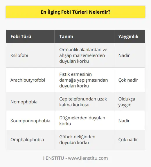 Çok fazla sayıda fobi türü olduğunu biliyoruz. Fakat bazı fobi türleri hem kulağa çılgınca hem imkansızmış gibi geliyor. Bunlardan biri ksilofobi ve ormanlık alanlardan, malzemesi odun olan malzemelerden korkma durumu olarak tanımlanıyor.