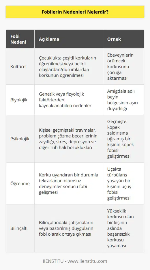 Fobilerin nedenleri kültürel, biyolojik ve psikolojik olarak çeşitlilik gösterebilir. Kültürel nedenler, çocuklukta çeşitli korkuların öğrenilmesi veya belirli olaylardan veya durumlardan korkunun öğrenilmesi olarak kabul edilebilir. Biyolojik nedenler, genetik veya fizyolojik faktörlerden kaynaklanabilir. Psikolojik nedenler arasında kişisel geçmişteki travmalar, problem çözme becerilerinin zayıflığı, stress, depresyon ve diğer ruh hali bozuklukları sayılabilir.