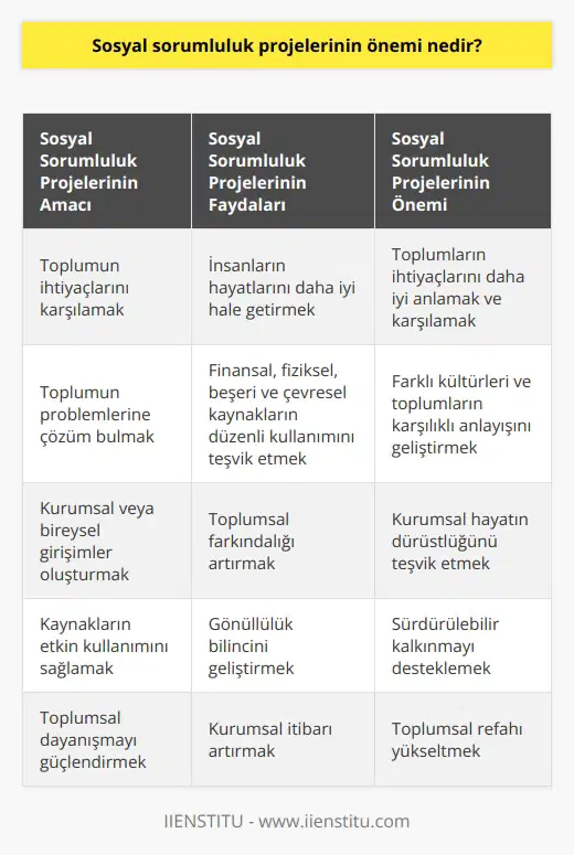 projeleri, bir toplumun ihtiyaçlarını karşılamak ve toplumun problemlerine çözüm bulmak için kurulan kurumsal veya bireysel girişimlerdir.  projeleri, insanların hayatlarını daha iyi hale getirecek şekilde finansal, fiziksel, beşeri ve çevresel kaynakların düzenli olarak kullanılmasını teşvik etmektedir.  projeleri, toplumların ihtiyaçlarını daha iyi anlamaları ve karşılamaları için önemlidir. Aynı zamanda,  projeleri, insanların farklı kültürleri ve toplumların karşılıklı anlayışını geliştirmek ve kurumsal hayatın dürüstlüğünü teşvik etmek için önemlidir.