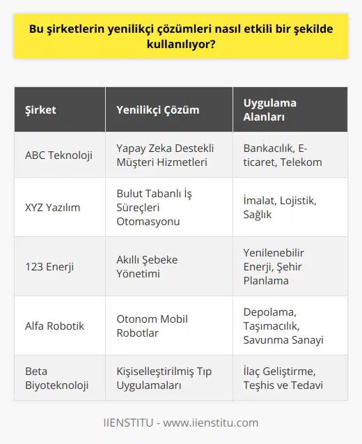 Bu şirketlerin yenilikçi çözümleri, etkin bir şekilde kullanılabilmesi için çoklu disiplinli yaklaşımlar kullanılmalıdır. Çözümlerin etkili bir şekilde uygulanabilmesi için tüm mevcut farklı alanların işbirliği yaparak çalışması gerekir. Örneğin, mühendislik, tasarım, pazarlama, satış ve diğer alanların birlikte çalışması gerekir. Bu çalışmalar, şirketlerin çözümleri yenilikçi bir şekilde uygulayabilmesi için önemli bir işbirliği sağlayabilir. Ayrıca, çözümlerin kullanılması için gerekli olan yazılım, donanım ve diğer altyapıların da sağlanması gerekir.