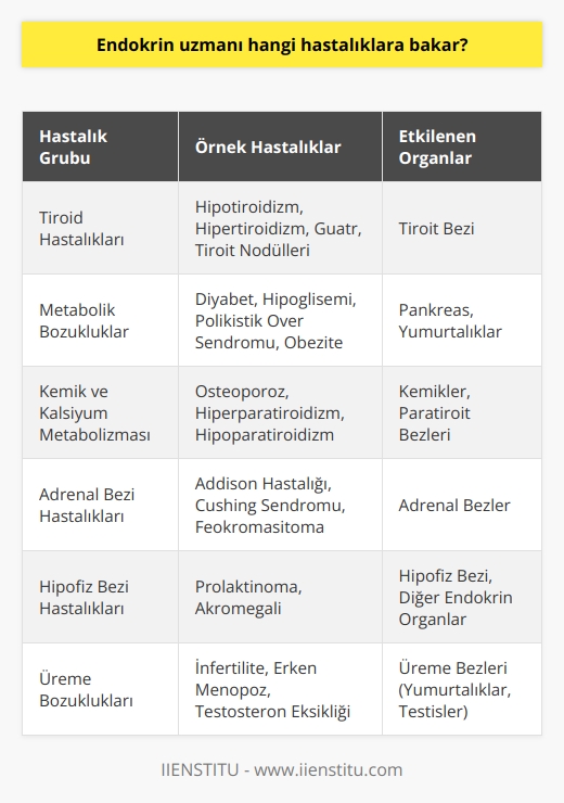 _Endokrin Sistem Hastalıkları_ Endokrin uzmanı, vücudumuzdaki hormon üretimini ve salgılanmasını düzenleyen endokrin sistem organlarının fonksiyonlarıyla ilgili hastalıklara bakar. Bu organlar, tiroit, hipofiz, adrenal, pankreas ve üreme bezleridir. _Tiroid Hastalıklar_ Endokrin uzmanının en sık karşılaştığı hastalıklar arasında tiroid hastalıkları öne çıkar. Tiroid hastalıklarının başında tiroid bezinin az çalışması (hipotiroidizm) ve fazla çalışması (hipertiroidizm), guatr ve tiroit nodülleri gelir. _Metabolik Bozukluklar_ Endokrin uzmanı, insülin üreten pankreas bezinden kaynaklanan metabolik bozuklukları tedavi eder. Başta diyabet (şeker hastalığı) olmak üzere hipoglisemi, polikistik over sendromu ve obezite gibi hastalıklar bu kategoriye girer. _Kemik ve Kalsiyum Metabolizması_ Endokrin uzmanları, kemik ve kalsiyum metabolizmasının düzensizliğine yol açan hastalıklarla da ilgilenir. Bunlar, osteoporoz, hiperparatiroidizm ve hipoparatiroidizm gibi kemik yoğunluğunu ve kalsiyum seviyelerini etkileyen rahatsızlıkları içerir. _Adrenal Bezi Hastalıkları_ Endokrin uzmanı, adrenal bezinin fonksiyon bozukluklarından kaynaklanan hastalıklarla da ilgilenir. Bunlar arasında Addison hastalığı, Cushing sendromu ve feokromasitoma gibi hormon düzensizliklerini içeren hastalıklar yer alır. _Hipofiz Bezi Hastalıkları_ Hipofiz bezi hastalıkları, endokrin uzmanının önemli çalışma alanlarından biridir. Hipofiz bezi, vücuttaki diğer organların işleyişini düzenleyen hormonları salgılar. Bu nedenle hipofiz bezi hastalıkları, diğer endokrin sistemi bileşenlerini de etkiler. Örnek olarak, prolaktinoma ve akromegali gibi hastalıkları sayabiliriz. _Üreme Bozuklukları_ Son olarak endokrin uzmanı, üreme bezlerinin hormon düzenlemesi ile ilgili sorunları da ele alır. İnfertilite, erken menopoza neden olan hastalıklar ve erkeklerde testosteron eksikliği gibi üreme sağlığını etkileyen rahatsızlıklar bu alana dahildir.