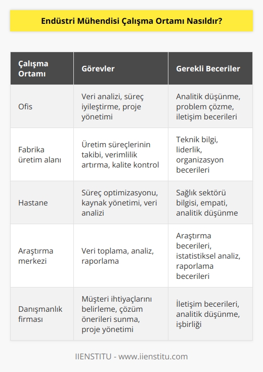 Görev ve sorumluluklarına bağlı olarak, hem ofiste hem de çalışma sahasında olabilirler. Bir fabrika üretim alanı ya da hastane ortamında süreçlerin takip edilmesinden sorumlu olabilirler. Bilgisayar karşısında kendileri ya da başkasının topladığı verileri analiz edebilirler.
