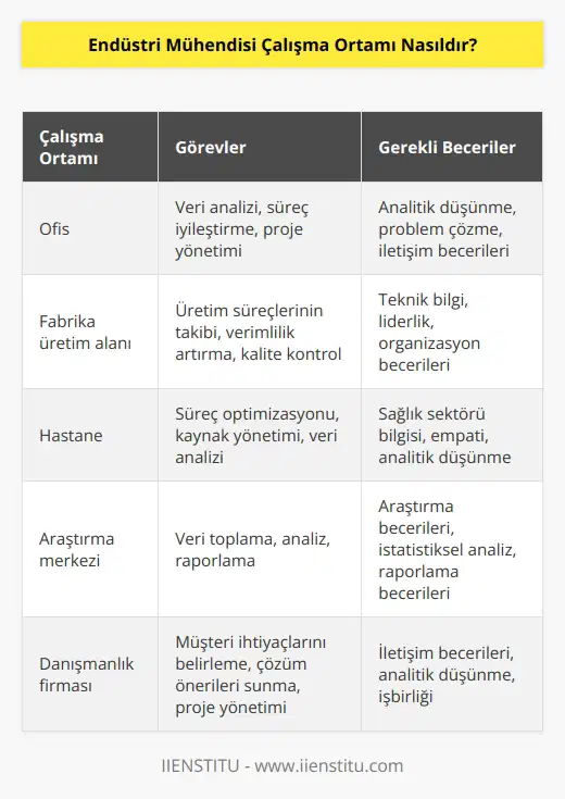 Görev ve sorumluluklarına bağlı olarak, hem ofiste hem de çalışma sahasında olabilirler. Bir fabrika üretim alanı ya da hastane ortamında süreçlerin takip edilmesinden sorumlu olabilirler. Bilgisayar karşısında kendileri ya da başkasının topladığı verileri analiz edebilirler.