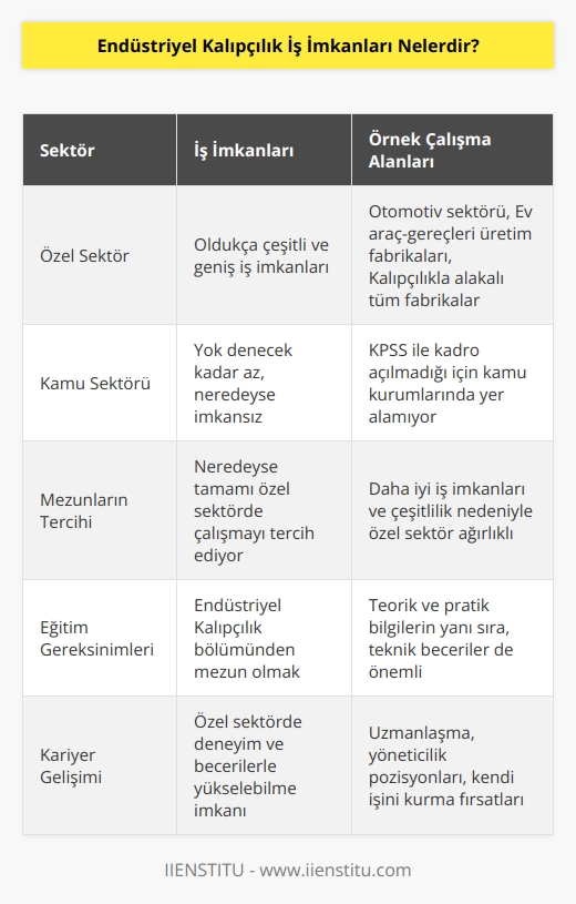 Endüstriyel kalıpçılık iş imkanları özel sektör için oldukça çeşitli olmasına karşılık, kamu sektöründe yok denecek kadar zordur. Mezunların neredeyse tamamı daha çok özel sektörde çalışmalarına devam eder. Otomotiv sektörü, Ev araç ve gereçleri üretim fabrikaları, Kalıpçılık ile alakalı tüm fabrikalar çalışma alanlarına örnek olarak verilebilir. Endüstriyel kalıpçılık mezunları KPSS ile kadro açılmadığı için kamu kurumlarında yer alamıyor.