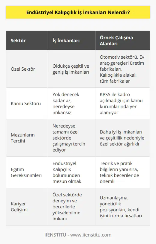 Endüstriyel kalıpçılık iş imkanları özel sektör için oldukça çeşitli olmasına karşılık, kamu sektöründe yok denecek kadar zordur. Mezunların neredeyse tamamı daha çok özel sektörde çalışmalarına devam eder. Otomotiv sektörü, Ev araç ve gereçleri üretim fabrikaları, Kalıpçılık ile alakalı tüm fabrikalar çalışma alanlarına örnek olarak verilebilir. Endüstriyel kalıpçılık mezunları KPSS ile kadro açılmadığı için kamu kurumlarında yer alamıyor.