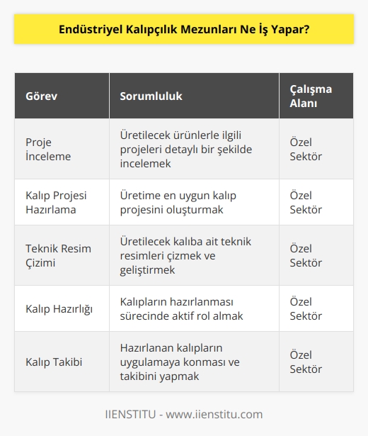 Endüstriyel kalıpçılık mezunları, üretimi yapılacak ürünlerle alakalı projeleri inceler. Üretilecek ürüne en uygun olan kalıp projesini hazırlamak ve üretimi yapılacak kalıba ait teknik resmi çizmek, geliştirmek temel görevlerindendir. Bölüm mezunları kalıpları hazırlığı, uygulamaya konması ve takibinden sorumlu birer teknik eleman olarak görevlerini yürütür. Endüstriyel kalıpçılık mezunlarının bölüm tercih sayısı düşük olmasına karşılık özel sektörde iş bulma imkanları yüksektir. Bölümü tamamlayan öğrencilerin birçoğu özel sektörde çeşitli görevlerle çalışabilirler.