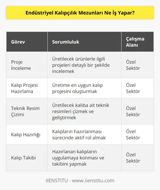 Endüstriyel kalıpçılık mezunları, üretimi yapılacak ürünlerle alakalı projeleri inceler. Üretilecek ürüne en uygun olan kalıp projesini hazırlamak ve üretimi yapılacak kalıba ait teknik resmi çizmek, geliştirmek temel görevlerindendir. Bölüm mezunları kalıpları hazırlığı, uygulamaya konması ve takibinden sorumlu birer teknik eleman olarak görevlerini yürütür. Endüstriyel kalıpçılık mezunlarının bölüm tercih sayısı düşük olmasına karşılık özel sektörde iş bulma imkanları yüksektir. Bölümü tamamlayan öğrencilerin birçoğu özel sektörde çeşitli görevlerle çalışabilirler.