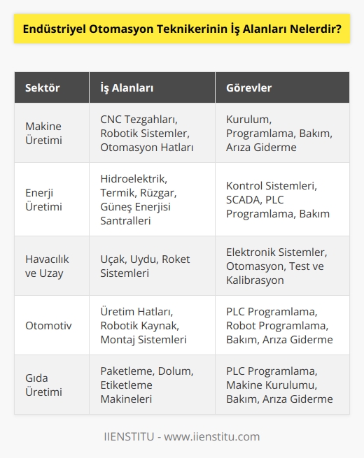 Endüstriyel otomasyon teknikerleri, çeşitli endüstrilerde kullanılan elektronik, mekanik, bilgisayar ve diğer donanımların kurulumunu ve bakımını gerçekleştiren teknisyenlerdir. İş alanları arasında; makine üreteci firmaları, üretim tesisleri, enerji üretim tesisleri, havacılık ve uzay teknolojisi, madencilik, yolculuk ve lojistik, otomotiv endüstrisi, bitki ve tesis kontrol sistemleri, gıda üretimine yönelik elektrik ve mekanik sistemler ve çok amaçlı endüstriyel kontrol sistemleri bulunur.