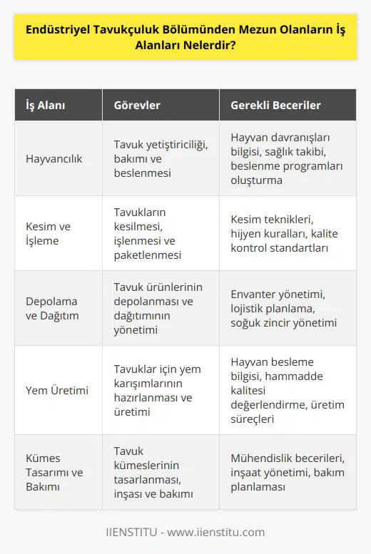Endüstriyel tavukçuluk bölümünden mezun olanlar, çoğunlukla hayvancılık, kesim, işleme ve depolama alanlarında çalışabilecekleri iş alanlarında çalışma olanağı bulabilir. Ayrıca, bu alandaki mezunlar, tavuk yem karışımı üretimi ve dağıtım gibi hayvancılık işleri için de satın alma ve pazarlama gibi alanlarda çalışabilirler. Mezunlar, ayrıca kümeslerin tasarımı, inşa ve bakımıyla ilgili alanlarda da çalışabilir. Endüstriyel tavukçuluk bölümü mezunları, kümeslerin içinde tavukların sağlık durumunu takip edebilecekleri gibi, özel beslenme programlarının takibi, kümeslerin hijyenik durumunu kontrol etme ve gerekli güvenlik tedbirlerinin alınması gibi alanlarda da çalışabilirler.