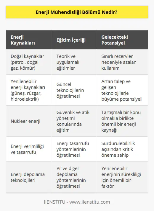 Enerji mühendisliği bölümü, dünyada var olan doğal kaynakların ve insan gücüyle oluşturulacak yapay kaynakların enerjiye dönüştürmek için belli metotların hem uygulamalı hem de teorik olarak eğitimlerin verildiği branştır. Eğitimlerle beraber öğrencilerin halihazırda bulunan enerji kaynakları gösterilmektedir. Buna ek olarak gelecekte oluşacak yenilenebilir enerji kaynaklarının da öğrencilere öğretildiği alandır.