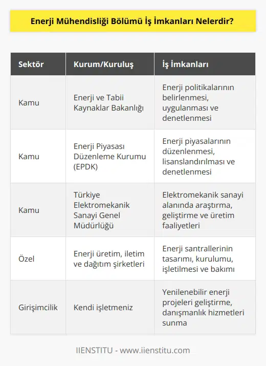 Devlet ve özel sektörde pek çok alanda iş bulabilme imkanınız var. Ayrıca üreteceğiniz projelerle birlikte kendi işletme sahibi olabilirsiniz. Bulacağı işler ise; Enerji ve Tabii Kaynaklar Bakanlığı, Enerji Piyasası Düzenleme Kurumu, Petrol İşleri Genel Müdürlüğü, Elektrik Üretim, Bor , Türkiye Elektromekanik Sanayi Genel Müdürlüğü, Nükleer Enerji ve Yenilenebilir Enerji.