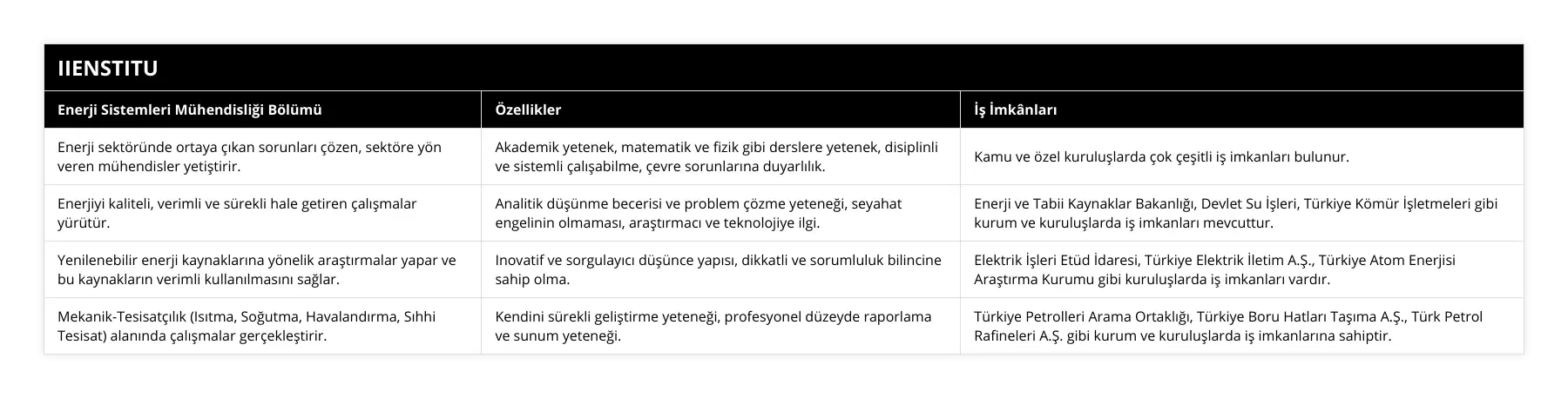 Enerji sektöründe ortaya çıkan sorunları çözen, sektöre yön veren mühendisler yetiştirir, Akademik yetenek, matematik ve fizik gibi derslere yetenek, disiplinli ve sistemli çalışabilme, çevre sorunlarına duyarlılık, Kamu ve özel kuruluşlarda çok çeşitli iş imkanları bulunur, Enerjiyi kaliteli, verimli ve sürekli hale getiren çalışmalar yürütür, Analitik düşünme becerisi ve problem çözme yeteneği, seyahat engelinin olmaması, araştırmacı ve teknolojiye ilgi, Enerji ve Tabii Kaynaklar Bakanlığı, Devlet Su İşleri, Türkiye Kömür İşletmeleri gibi kurum ve kuruluşlarda iş imkanları mevcuttur, Yenilenebilir enerji kaynaklarına yönelik araştırmalar yapar ve bu kaynakların verimli kullanılmasını sağlar, Inovatif ve sorgulayıcı düşünce yapısı, dikkatli ve sorumluluk bilincine sahip olma, Elektrik İşleri Etüd İdaresi, Türkiye Elektrik İletim AŞ, Türkiye Atom Enerjisi Araştırma Kurumu gibi kuruluşlarda iş imkanları vardır, Mekanik-Tesisatçılık (Isıtma, Soğutma, Havalandırma, Sıhhi Tesisat) alanında çalışmalar gerçekleştirir, Kendini sürekli geliştirme yeteneği, profesyonel düzeyde raporlama ve sunum yeteneği, Türkiye Petrolleri Arama Ortaklığı, Türkiye Boru Hatları Taşıma AŞ, Türk Petrol Rafineleri AŞ gibi kurum ve kuruluşlarda iş imkanlarına sahiptir