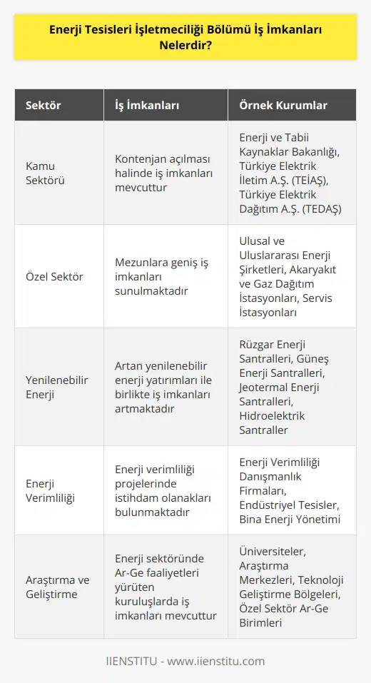 Enerji Tesisleri İşletmeciliği bölümü mezunları kamu alanında kontenjan açılması halinde iş bulabilir. Özel sektör ise mezunlara güzel imkanlar sunmaktadır. Ulusal ve Uluslararası Enerji şirketleri, Akaryakıt ve Gaz Dağıtım İstasyonları, Servis İstasyonları çalışma alanlarına örnek olarak verilebilir.