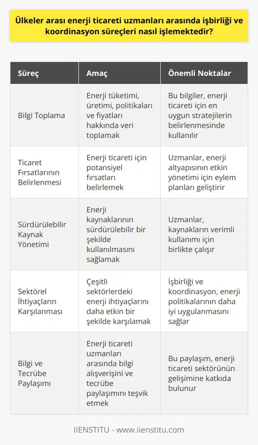 Ülkeler arası enerji ticareti uzmanları, enerji politikalarının belirlenmesi ve uygulanmasında temel bir rol oynarlar. Bu uzmanlar, enerji ticareti işlemlerini kolaylaştırmak ve etkin bir şekilde yönetmek amacıyla, bir dizi işbirliği ve koordinasyon süreçlerine dahil olurlar. Enerji ticareti uzmanlarının işbirliği ve koordinasyon süreçleri, çok dikkatlice düzenlenmiş bir çerçeve içinde işler. İlk olarak, bu uzmanlar, enerji tüketimi ve üretimi, enerji politikaları ve enerji fiyatları gibi bir dizi konuda bilgi toplamak için birlikte çalışırlar. Bu bilgiler daha sonra, enerji ticareti için en uygun stratejileri belirlemekte kullanılır. İşbirliği ve koordinasyon süreçlerinin bir diğer önemli yönü, ticaret fırsatlarını belirlemek ve enerji altyapısının etkin bir şekilde yönetilmesi konusunda eylem planları geliştirmektir. Enerji ticareti uzmanları, enerji kaynaklarının sürdürülebilir bir şekilde kullanılmasını sağlamak için de birlikte çalışırlar. Bu süreçler, çeşitli sektörlerdeki enerji ihtiyaçlarını daha etkin bir şekilde karşılamak ve enerji politikalarını daha iyi bir şekilde uygulamak amacıyla, işbirliği ve koordinasyonla yönetilir. İşbirliği ve koordinasyon süreçleri, enerji ticareti uzmanları arasında bilgi alışverişini ve tecrübe paylaşımını teşvik eder. Bu nedenle, bu süreçler enerji ticareti sektöründe çok önemlidir. Sonuç olarak, enerji ticareti uzmanları arasında işbirliği ve koordinasyon süreçleri, hem enerji tüketimi ve üretimi hem de enerji politikalarının etkin yönetilmesi açısından büyük önem taşır. Bu süreçler, enerji ticareti uzmanlarına enerji ticaretini maksimize etmekte ve enerji kaynaklarını sürdürülebilir bir şekilde yönetmekte yardımcı olur.