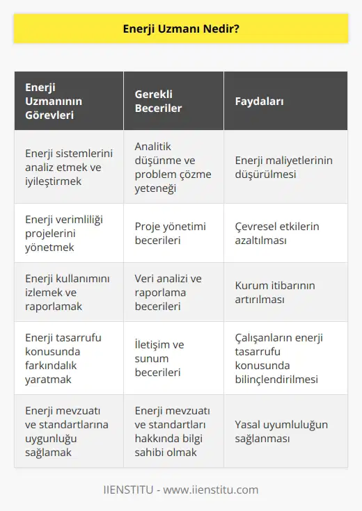 Enerji uzmanı bir kurum ya da kuruluşun kullanmakta olduğu enerji sistemlerini daha verimli ve işlevsel hale getirilmesinden sorumlu kişilerden biridir. Kurumun ya da kuruluşun tüm enerji ile alakalı kullanım basamaklarını kontrol etmekle sorumludur. Kullanılmakta olan enerjinin etkin olarak yönetilmesini ve verimli hale getirilmesini sağlamak en önemli sorumluluklarının başında gelir.