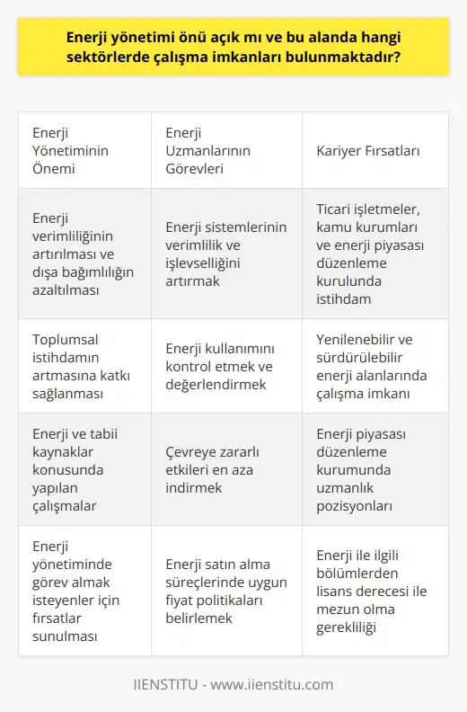 Enerji Yönetimi ve İş Fırsatları Enerji yönetimi, son dönemlerde önü açık bir sektör olarak dikkat çekmekte ve enerji uzmanı pozisyonu büyük önem arz etmektedir. Bu sektörde yaşanan gelişmeler ve enerji verimliliğinin öne çıkması, enerjide dışa bağımlılığın azalmasına katkıda bulunuyor ve toplumsal istihdamın artmasına olanak sağlıyor. Bu bağlamda, enerji ve tabii kaynaklar konusunda yapılan çalışmalar ile enerji yönetiminde görev almak isteyen kişilere farklı iş imkanları sunulmaktadır. Enerji uzmanlarının görev tanımı ve iş imkanları Enerji uzmanı, enerji sistemlerinin verimlilik ve işlevselliğini artırmak amacıyla çalışmalar yürüten, enerji kullanımını kontrol eden ve değerlendiren, çevreye zararlı etkileri en aza indirme sorumluluğu bulunan kişilerdir. Bu alanda çalışma imkanı bulunan sektörler arasında ticari işletmeler, kamu kurumları ve enerji piyasası düzenleme kurulu öne çıkmaktadır. Özellikle yenilenebilir ve sürdürülebilir enerji alanlarında faaliyet gösteren enerji uzmanlarının sistemin verimli ve ekonomik olarak yönetilmesi konusunda atılımlar yapması beklenmektedir. Bu kişilerin enerji satın alma süreçlerinde uygun fiyat politikaları belirlemesi ve bunları uygulamaya koyarak enerjinin etkin kullanımından sorumlu olduğu görülmektedir. Eğitim ve kariyer olanakları Enerji uzmanı olabilmek için, üniversitelerde dört yıllık eğitim veren enerji ile ilgili bölümlerinden lisans derecesi ile mezun olmak gerekmektedir. Kariyerlerine enerji uzmanı olarak devam etmek isteyen kişiler, enerji piyasası düzenleme kurumunda uzman olarak görev almak için belirtilen kriterlere uyum sağlamalıdır. Enerji uzmanının yetiştirilmesi ve ilgili sektörlerdeki personel eğitimine yönelik çalışmalar da önemlidir. Bilinçlendirme faaliyetleri ve enerji kullanım programları oluşturma konularında enerji uzmanlarının katkısı büyüktür. Sonuç olarak, enerji yönetimi sektöründe farklı alanlarda çalışma imkanı olup, gelişen teknoloji ve enerji verimliliği bilincinin yaygınlaşması ile enerji uzmanlarına duyulan ihtiyaç giderek artmaktadır. Bu nedenle, enerji yönetimi sektörüne yönelik enerji uzmanlığı kariyer fırsatları değerlendirilmelidir.