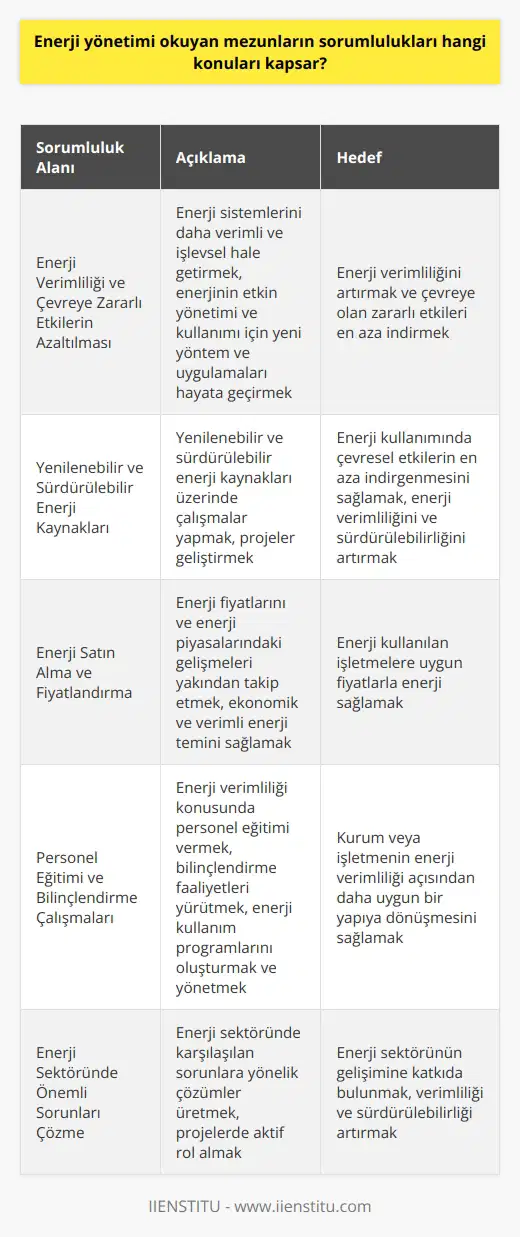 Enerji Yönetimi Mezunlarının Sorumlulukları Enerji Verimliliği ve Çevreye Zararlı Etkilerin Azaltılması Enerji yönetimi okuyan mezunlar enerji uzmanı olarak çalışabilirler ve kurum veya işletmelerin kullanmakta olduğu enerji sistemlerini daha verimli ve işlevsel hale getirilmesinden sorumludurlar. Enerjinin verimli kullanılmasına odaklanarak, çevreye olan zararlı etkilerini en aza indirmek için çalışmalar yürütürler. Bunun yanı sıra, enerjinin etkin yönetimi ve kullanımı için yeni yöntem ve uygulamaları değerlendirmek ve hayata geçirmek görevleri arasında yer alır. Yenilenebilir ve Sürdürülebilir Enerji Kaynakları Enerji uzmanları, özellikle yenilenebilir ve sürdürülebilir enerji kaynakları üzerinde çalışmalar yaparak, enerji kullanımında çevresel etkilerin en aza indirgenmesini sağlamanın yanı sıra enerji verimliliğini ve sürdürülebilirliğini de hedefler. Bu alanlarda projeler geliştiren enerji yönetimi mezunları, enerji sektöründe önemli sorunları çözmeye yönelik çalışmalarla katkı sağlar. Enerji Satın Alma ve Fiyatlandırma Enerji uzmanlarının bir diğer sorumluluk alanı ise enerji satın alma ve uygun fiyat yöntemlerinin hazırlanmasıdır. Bu kapsamda, enerji fiyatlarını ve enerji piyasalarındaki gelişmeleri yakından takip ederek, enerji kullanılan işletmelere ekonomik ve verimli enerji temini sağlamak için çalışır. Personel Eğitimi ve Bilinçlendirme Çalışmaları Enerji uzmanları, enerji verimliliği konusunda personel eğitimi vererek ve bilinçlendirme faaliyetleri yürüterek kurum veya işletmenin enerji verimliliği açısından daha uygun bir yapıya dönüşmesini sağlar. Teknik ve teorik bilgiler sunarak, enerji kullanım programlarını oluşturur ve yönetir. Sonuç olarak, enerji yönetimi okuyan mezunlar enerji sektöründe önemli sorumluluklar üstlenirler ve enerji verimliliği, çevreye zararlı etkilerin azaltılması, yenilenebilir enerji kaynakları, enerji satın alma ve uygun fiyat yöntemleri, personel eğitimi ve bilinçlendirme alanlarında çalışmalar yürütürler. Bu sayede enerji kanının verimli ve sürdürülebilir hale gelmesine katkıda bulunurlar.