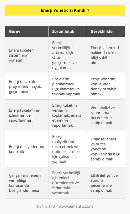 Enerji yöneticisi; binalar ve endüstriyel işletmelerde enerji yönetimi ile ilgili görevleri yerine getirmekten sorumlu olan kişilere verilen addır. Enerji tüketen sistemlerin idare edilmesi, yönetimi ve organizasyonuyla alakalı işleri yürütür. Kurum yöneticileri ve diğer iş arkadaşları ile işbirliği içinde çalışmalarını yürütmesi gerekir.