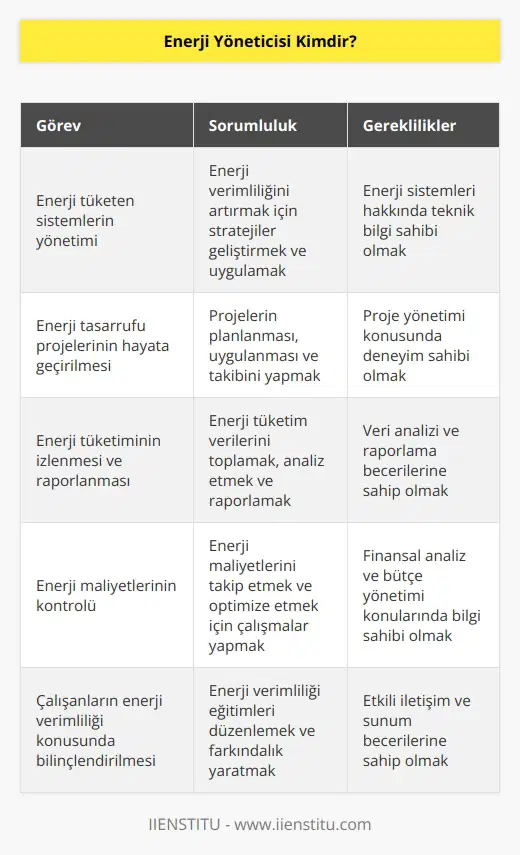 Enerji yöneticisi; binalar ve endüstriyel işletmelerde enerji yönetimi ile ilgili görevleri yerine getirmekten sorumlu olan kişilere verilen addır. Enerji tüketen sistemlerin idare edilmesi, yönetimi ve organizasyonuyla alakalı işleri yürütür. Kurum yöneticileri ve diğer iş arkadaşları ile işbirliği içinde çalışmalarını yürütmesi gerekir.