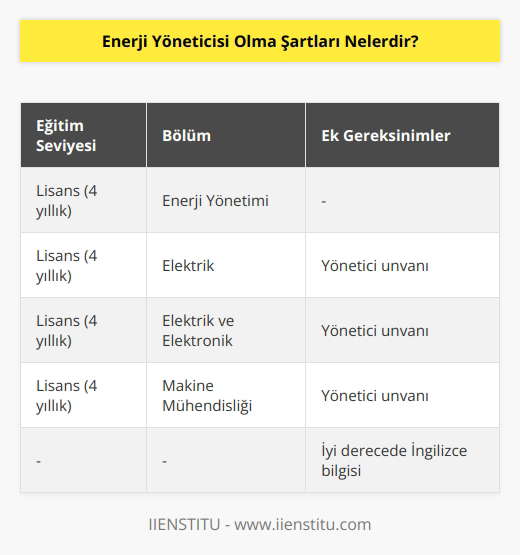 olacak kişiler, üniversitelerin Enerji Yönetimi Bölümünde 4 yıllık bir eğitim alması gerekir. Enerji Yönetimi bölümünün yanında Elektrik, Elektrik ve Elektronik ya da    mezunları da bu alanda aldıkları yönetici unvanı ile iş imkanına sahip olur. Lisans eğitiminin yanı sıra iyi derecede İngilizce bilgisi de bu mesleği yerine getirmenin şartları arasında sıralanabilir.