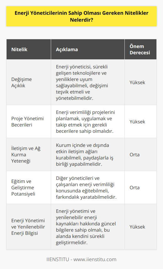 Enerji yöneticisi, değişime açık olmalı, teşvik etmeli ve aynı zamanda yönetme potansiyeline sahip olmalıdır. Proje yönetimi becerileri sergilemeli, kurum içinde ve dışında etkin ağlar kurma yeteneği göstermeli ve diğer yöneticileri, çalışanları eğitme potansiyeline sahip olmalıdır. Enerji yönetimi ve yenilenebilir enerji hakkında bilgi ve istek sahibi olmalıdır.