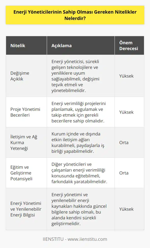 Enerji yöneticisi, değişime açık olmalı, teşvik etmeli ve aynı zamanda yönetme potansiyeline sahip olmalıdır. Proje yönetimi becerileri sergilemeli, kurum içinde ve dışında etkin ağlar kurma yeteneği göstermeli ve diğer yöneticileri, çalışanları eğitme potansiyeline sahip olmalıdır. Enerji yönetimi ve yenilenebilir enerji hakkında bilgi ve istek sahibi olmalıdır.