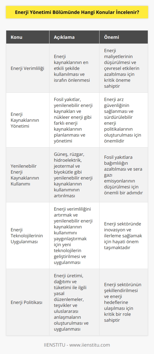 Enerji Yönetimi Bölümünde incelenen konular genellikle şunları içerir: enerji verimliliği, enerji kaynaklarının yönetimi, enerji tasarrufu, yenilenebilir enerji kaynaklarının kullanımı, enerji teknolojilerinin uygulanması, enerji sistemlerinin tasarımı, enerji maliyetlerinin düşürülmesi ve enerji politikası.