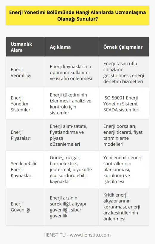 Enerji yönetimi bölümünde uzmanlaşma olanakları arasında; enerji verimliliği, enerji tasarrufu, enerji yönetim sistemleri, enerji etkinliği yönetimi, enerji kaynakları yönetimi, enerji yönetimi normları ve standartları, enerji piyasaları, enerji modellenmesi ve tahminleme, çevresel enerji politikaları, yenilenebilir enerji kaynakları ve enerji güvenliği bulunmaktadır.