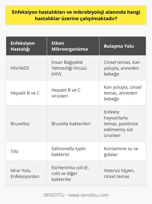 Mikrobiyoloji ve Enfeksiyon Hastalıkları Üzerindeki Çalışmalar  Enfeksiyon hastalıkları ve mikrobiyoloji alanında çalışılan hastalıklar oldukça geniş bir yelpazeye sahiptir. Bu alan, virüs, bakteri ve parazit gibi mikroorganizmaların neden olduğu hastalıkların tanı, takip ve tedavilerini kapsar. 21. yüzyılın bilimsel bilgileri ışığında, enfeksiyon uzman hekimleri ve diğer tıbbi sağlık çalışanları tarafından yapılan bu çalışmalar, hastaların sağlığına kavuşmasında büyük bir etkiye sahiptir.   Hastalık Türleri ve Önemi  Enfeksiyon hastalıkları ve mikrobiyoloji alanında incelenen hastalık türleri arasında HIV, AIDS, cinsel yolla bulaşan hastalıklar, hepatitler (sarılık), bruselloz, tifo, ateşli hastalıklar, idrar yolu enfeksiyonları, grip, ishaller ve solunum yolu enfeksiyonları gibi pek çok önemli hastalık bulunmaktadır. Bu hastalıklar, dünya genelinde sık rastlanan ve hayati risk teşkil edebilen önemli hastalık gruplarından biridir.      Enfeksiyon hastalıkları ve mikrobiyoloji alanında yapılan çalışmalar, hastalıkların tanı ve tedavi süreçlerini içerir. İlgili hastalıkların  mikrobiyolojik laboratuvar çalışmaları aracılığıyla gerçekleştirilir. Enfeksiyon Hastalıkları ve Mikrobiyoloji birimleri, bu konudaki çalışmaları özel olarak yürüten birimlerdir.  Enfeksiyon Uzmanları ve Görevleri  Enfeksiyon uzmanlığı, mikroorganizmaların neden olduğu hastalıkların ortaya çıkarılmasını ve tedavilerinin yapılmasını sağlayan uzman doktora verilen unvandır. Enfeksiyon uzmanlarının birçok görev ve sorumluluğu bulunmaktadır. Bu görevler arasında hastalıkların tanı ve tedavi süreçlerinin yürütülmesi, hastanede meydana gelebilecek enfeksiyonların kontrolü, ilgili enfeksiyonları en aza indirgemekle ilgili çalışmaların yapılması ve hasta, hasta yakınlarına eğitimlerin verilmesi yer almaktadır.  Sonuç olarak, enfeksiyon hastalıkları ve mikrobiyoloji alanında yapılan çalışmalar, sayısız hastalık türünün tanı ve tedavi süreçlerini içermekte olup, bu alandaki uzmanlar ve sağlık çalışanları tarafından gerçekleştirilmektedir. Bu çalışmalar, hastaların sağlığına kavuşmaları açısından büyük bir öneme sahiptir.