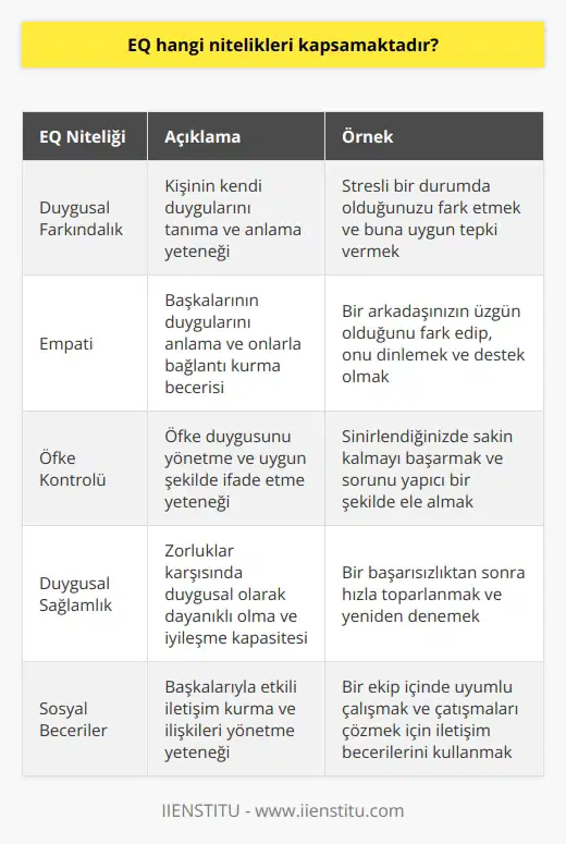 EQ, duygusal zeka (EQ) olarak da bilinir ve insanların duygularını anlama ve yönetme yeteneklerini kapsamaktadır. EQ, duygularının farkındalığını, empati yeteneğini, öfke kontrolünü, duygusal sağlamlığı, sosyal becerileri ve ilişkileri yönetmeyi de kapsamaktadır.