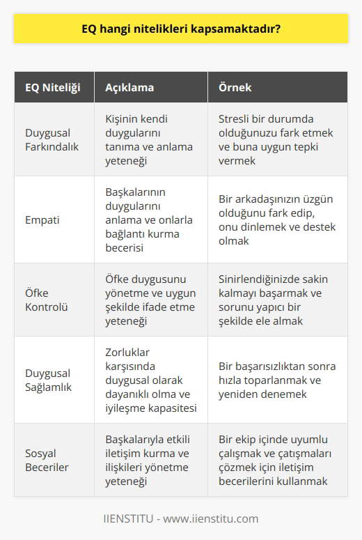 EQ, duygusal zeka (EQ) olarak da bilinir ve insanların duygularını anlama ve yönetme yeteneklerini kapsamaktadır. EQ, duygularının farkındalığını, empati yeteneğini, öfke kontrolünü, duygusal sağlamlığı, sosyal becerileri ve ilişkileri yönetmeyi de kapsamaktadır.