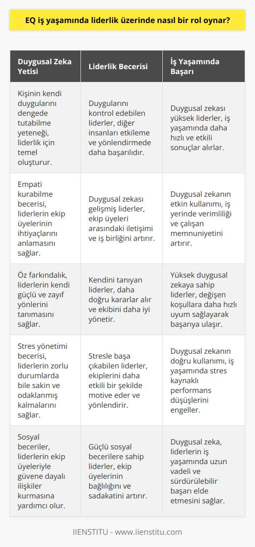 İş yaşamında başarının anahtarı, lider olma becerisidir ve bu beceri öncelikle kişinin yetisi ile başlar. Kişi kendi duygularının denge içinde yürütebildiği sürece diğer insanları etkisi altına almayı da başarabilir. Böylelikle yönetim sürecini sağlıkla yürütebilir ve iş yaşamında başarıya hızla ulaşmak için duyguların iyi yönetilmesi gerektiği akıllarda tutulmalıdır.
