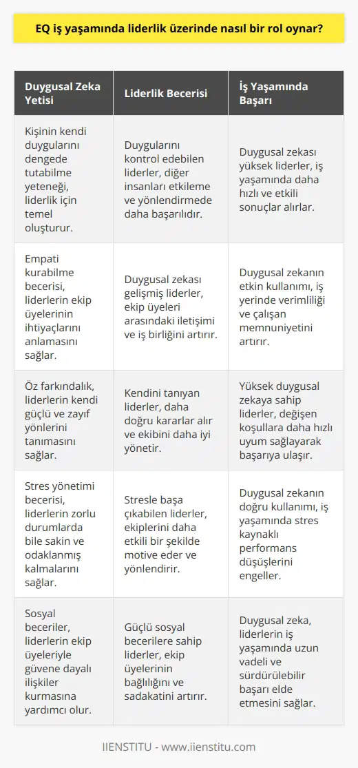 İş yaşamında başarının anahtarı, lider olma becerisidir ve bu beceri öncelikle kişinin yetisi ile başlar. Kişi kendi duygularının denge içinde yürütebildiği sürece diğer insanları etkisi altına almayı da başarabilir. Böylelikle yönetim sürecini sağlıkla yürütebilir ve iş yaşamında başarıya hızla ulaşmak için duyguların iyi yönetilmesi gerektiği akıllarda tutulmalıdır.