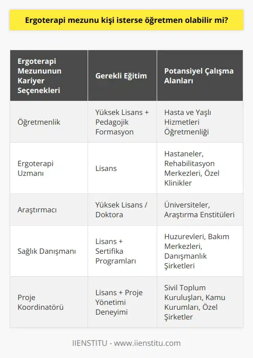 Ergoterapi mezunu yüksek lisans eğitimini tamamladıktan sonra isterse öğretmen olabilirler. Pedagojik formasyon aldıklarında öğretmenlik yapma imkanları vardır. Hasta ve yaşlı hizmetleri öğretmeni olarak görev yapabilirler.