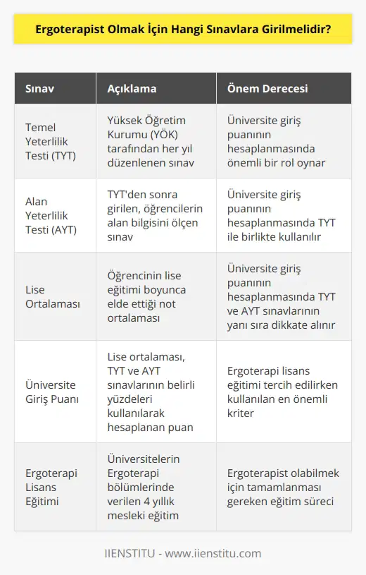 Lise eğitiminin akabinde Yüksek Öğretim Kurumunun (YÖK) her yıl düzenlemiş olduğu Temel Yeterlilik Testi (TYT) sınavına ve sonrasında ise Alan Yeterlilik Testi (AYT) sınavına girmek gerekir. Her iki sınavdan iyi birer puan almak gerekir. Lise ortalamasına, TYT ve AYT sınavların belirli bir yüzdeliği eklenerek üniversite giriş puanı oluşturulmaktadır. Bu puanın elde edilmesiyle üniversitelerin ergoterapi lisans eğitimi tercih edilerek mesleki eğitime başlanmış olunur.
