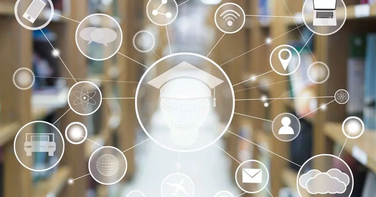 Erişilebilirlik Eğitimde Ne Anlama Geliyor?