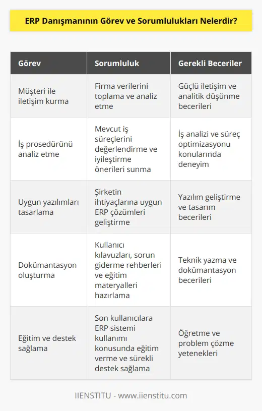 ERP danışmanı, yazılımı uygulamaya entegre etmek için ilgili firma verilerini toplaması gereken kişidir ve bunun için müşteri ile iletişim halinde olur. Şirketin iş prosedürünü analiz eder ve ilgili otomasyon için uygun yazılımları tasarlar. Kılavuz el kitapları, muhtemel problemler ve bunların çözüm seçenekleri gibi konularla ilgili gerekli dokümanları ortaya çıkarır.