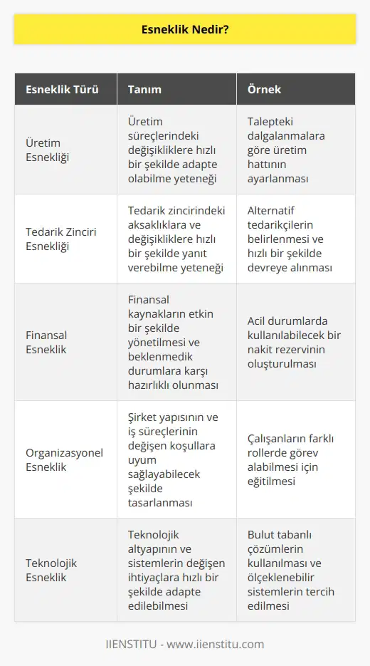 Standart çalışma koşulları altında değişimlerin veya belirsizliklerin aşılmasıdır. Durum değişikliği ya da ortamdan kaynaklanan dengesizlik ve belirsizlikle ile mücadele edebilmektir. İç ve dış çevre içerisinde belirtilen tüm sorunlara karşı işletme veya üretim sistemlerini ayakta tutabilmektir.