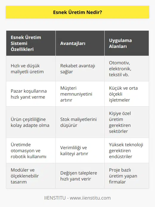 Üretilecek olan ürünü kaliteli, hızlı ve düşük maliyetli ortaya çıkarma işlemidir. Pazar koşulları ve çevreden gelen isteklere hızlı cevap verme yeteneğine sahip olması ile ön plana çıkan bir sistemdir. Bir üründen diğerine geçişte zaman kaybı yaşamadan diğer ürünü üretebilme yeteneği sergileyen sistemdir.