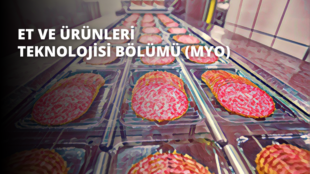 Et ve Ürünleri Teknolojisi Bölümü (MYO)