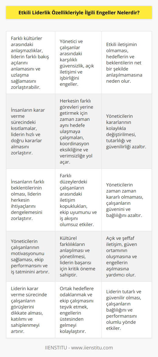 1. Farklı kültürler arasındaki anlaşmazlıklar. 2. Yönetici ve çalışanlar arasındaki karşılıklı güvensizlik. 3. İnsanların karar verme sürecindeki kısıtlamalar. 4. Etkili iletişimin olmaması. 5. Herkesin farklı görevleri yerine getirmek için zaman zaman aynı hedefe ulaşmaya çalışmaları. 6. Yöneticilerin kararlarının kolaylıkla değiştirilmesi. 7. İnsanların farklı beklentilerinin olması. 8. Farklı düzeylerdeki çalışanların arasındaki   . 9. Yöneticilerin zaman zaman kararlı olmaması. 10. Yöneticilerin çalışanlarının motivasyonunu sağlaması.