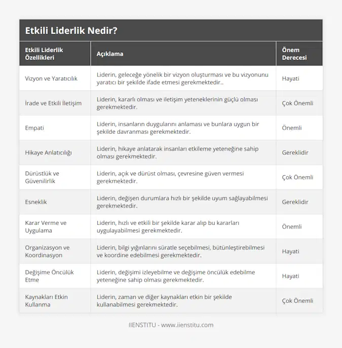 Vizyon ve Yaratıcılık, Liderin, geleceğe yönelik bir vizyon oluşturması ve bu vizyonunu yaratıcı bir şekilde ifade etmesi gerekmektedir, Hayati, İrade ve Etkili İletişim, Liderin, kararlı olması ve iletişim yeteneklerinin güçlü olması gerekmektedir, Çok Önemli, Empati, Liderin, insanların duygularını anlaması ve bunlara uygun bir şekilde davranması gerekmektedir, Önemli, Hikaye Anlatıcılığı, Liderin, hikaye anlatarak insanları etkileme yeteneğine sahip olması gerekmektedir, Gereklidir, Dürüstlük ve Güvenilirlik, Liderin, açık ve dürüst olması, çevresine güven vermesi gerekmektedir, Çok Önemli, Esneklik, Liderin, değişen durumlara hızlı bir şekilde uyum sağlayabilmesi gerekmektedir, Gereklidir, Karar Verme ve Uygulama, Liderin, hızlı ve etkili bir şekilde karar alıp bu kararları uygulayabilmesi gerekmektedir, Önemli, Organizasyon ve Koordinasyon, Liderin, bilgi yığınlarını süratle seçebilmesi, bütünleştirebilmesi ve koordine edebilmesi gerekmektedir, Hayati, Değişime Öncülük Etme, Liderin, değişimi izleyebilme ve değişime öncülük edebilme yeteneğine sahip olması gerekmektedir, Hayati, Kaynakları Etkin Kullanma, Liderin, zaman ve diğer kaynakları etkin bir şekilde kullanabilmesi gerekmektedir, Çok Önemli