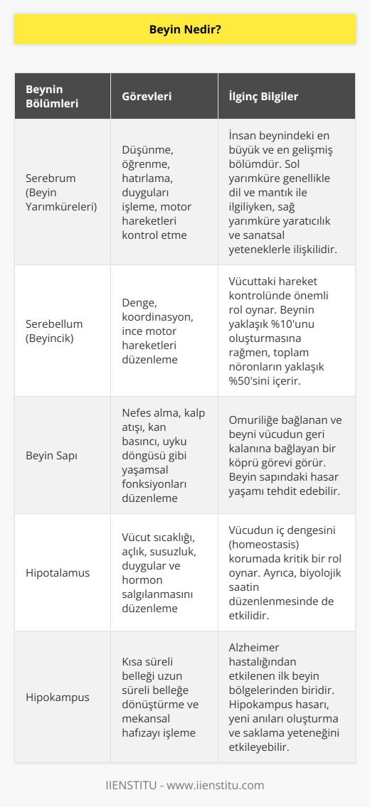 Beyin vücudumuzun yönetim merkezidir. Hareket etmemizi, düşünmemizi, hissetmemizi, öğrenmemizi hatta kalbimizin atmasını ve nefes alıp vermemizi gibi yaşamsal faaliyetlerimizi kontrol eder.