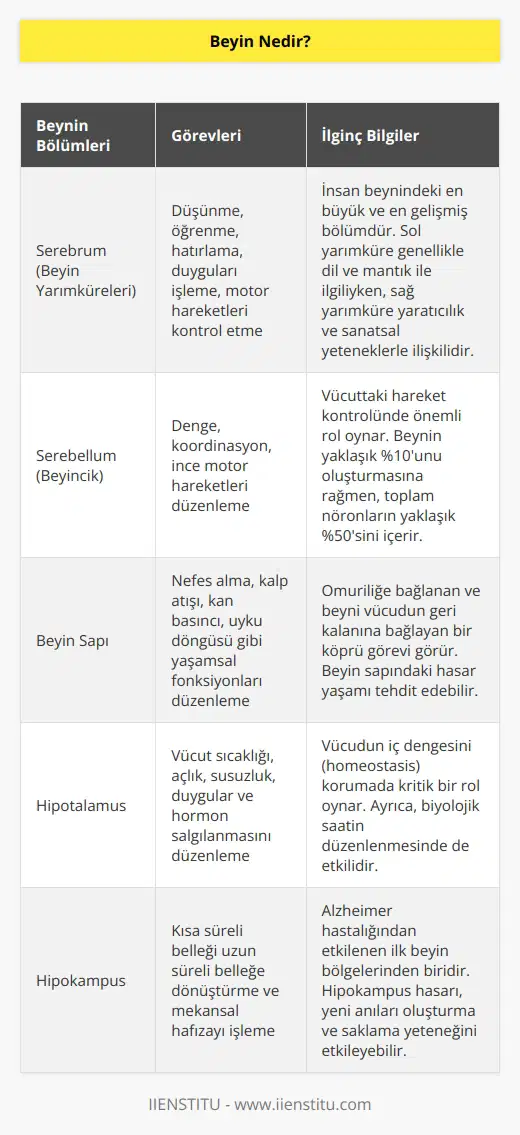 Beyin vücudumuzun yönetim merkezidir. Hareket etmemizi, düşünmemizi, hissetmemizi, öğrenmemizi hatta kalbimizin atmasını ve nefes alıp vermemizi gibi yaşamsal faaliyetlerimizi kontrol eder.