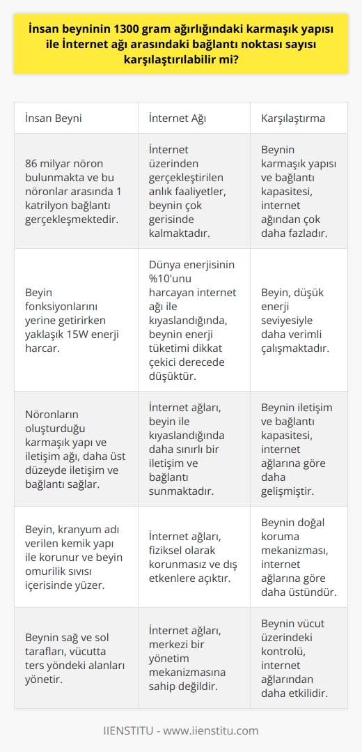 İnsan Beyni ve İnternet Ağı Arasındaki Bağlantı Noktası Karşılaştırması  İnternet üzerinde sürekli meydana gelen yoğun veri trafiğine rağmen, insan beyninin karmaşık yapısı ve bağlantı kapasitesi, internet ağından çok daha fazladır. Beyinde 86 milyar nöron bulunmakta ve bu nöronlar arasında 1 katrilyon bağlantı gerçekleşmektedir. Öte yandan, internet üzerinden gerçekleştirilen anlık faaliyetler, beynin çok gerisinde kalmaktadır.  Beyin İşlevleri ve Enerji Tüketimi  İnsan beyni, vücudun merkezi yönetim merkezi olarak yaşamsal faaliyetlerin sürekliliğini sağlar ve tüm düşünsel ve duygusal süreçleri yönetir. Beyin fonksiyonlarını yerine getirirken yaklaşık 15W enerji harcar ve bu düşük enerji seviyesi, dünya enerjisinin %10unu harcayan internet ağı ile kıyaslandığında dikkat çekicidir.   Beyindeki Nöronlar ve İletişim  Beyinde bulunan nöronlar, glia hücreleriyle desteklenir ve temel görevleri bilgi almak, depolamak ve işlemek olan beyin, verilere daha hızlı erişebilir ve işlemleri gerçekleştirebilir. Nöronların oluşturduğu bu karmaşık yapı ve iletişim ağı, internet ağları ile kıyasladığında daha üst düzeyde iletişim ve bağlantı sağlar.  Beynin Korunması ve Yapısı  İnsan beyni, kranyum olarak adlandırılan kemik yapı ile korunur ve beyin, jölemsi bir kıvamdaki beyin omurilik sıvısı (BOS) içerisinde yüzer. Bu sayede üst düzey bir otomatik koruma sağlanır ve beyin çarpmalara karşı direnç gösterir. Özellikle, beynin sağ ve sol taraflarının vücutta ters yöndeki alanları yönetmesi, beyin ve vücut arasındaki bağlantının etkililiğine katkı sağlar.  Sonuç   İnsan beyni ve internet ağları arasında bağlantı noktası sayısı açısından yapılan karşılaştırmalar, beynin üstünlüğünü açıkça göstermektedir. Beynin doğal ve canlı hücrelerden oluşan mekanizması, veri işleme hızı ve enerji verimliliği ile, insan beyni en mükemmel yapı olarak kendini kanıtlamaktadır.