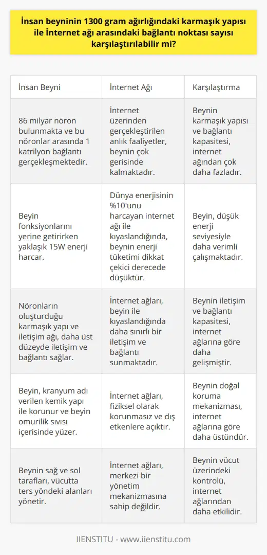İnsan Beyni ve İnternet Ağı Arasındaki Bağlantı Noktası Karşılaştırması İnternet üzerinde sürekli meydana gelen yoğun veri trafiğine rağmen, insan beyninin karmaşık yapısı ve bağlantı kapasitesi, internet ağından çok daha fazladır. Beyinde 86 milyar nöron bulunmakta ve bu nöronlar arasında 1 katrilyon bağlantı gerçekleşmektedir. Öte yandan, internet üzerinden gerçekleştirilen anlık faaliyetler, beynin çok gerisinde kalmaktadır. Beyin İşlevleri ve Enerji Tüketimi İnsan beyni, vücudun merkezi yönetim merkezi olarak yaşamsal faaliyetlerin sürekliliğini sağlar ve tüm düşünsel ve duygusal süreçleri yönetir. Beyin fonksiyonlarını yerine getirirken yaklaşık 15W enerji harcar ve bu düşük enerji seviyesi, dünya enerjisinin %10unu harcayan internet ağı ile kıyaslandığında dikkat çekicidir. Beyindeki Nöronlar ve İletişim Beyinde bulunan nöronlar, glia hücreleriyle desteklenir ve temel görevleri bilgi almak, depolamak ve işlemek olan beyin, verilere daha hızlı erişebilir ve işlemleri gerçekleştirebilir. Nöronların oluşturduğu bu karmaşık yapı ve iletişim ağı, internet ağları ile kıyasladığında daha üst düzeyde iletişim ve bağlantı sağlar. Beynin Korunması ve Yapısı İnsan beyni, kranyum olarak adlandırılan kemik yapı ile korunur ve beyin, jölemsi bir kıvamdaki beyin omurilik sıvısı (BOS) içerisinde yüzer. Bu sayede üst düzey bir otomatik koruma sağlanır ve beyin çarpmalara karşı direnç gösterir. Özellikle, beynin sağ ve sol taraflarının vücutta ters yöndeki alanları yönetmesi, beyin ve vücut arasındaki bağlantının etkililiğine katkı sağlar. Sonuç İnsan beyni ve internet ağları arasında bağlantı noktası sayısı açısından yapılan karşılaştırmalar, beynin üstünlüğünü açıkça göstermektedir. Beynin doğal ve canlı hücrelerden oluşan mekanizması, veri işleme hızı ve enerji verimliliği ile, insan beyni en mükemmel yapı olarak kendini kanıtlamaktadır.