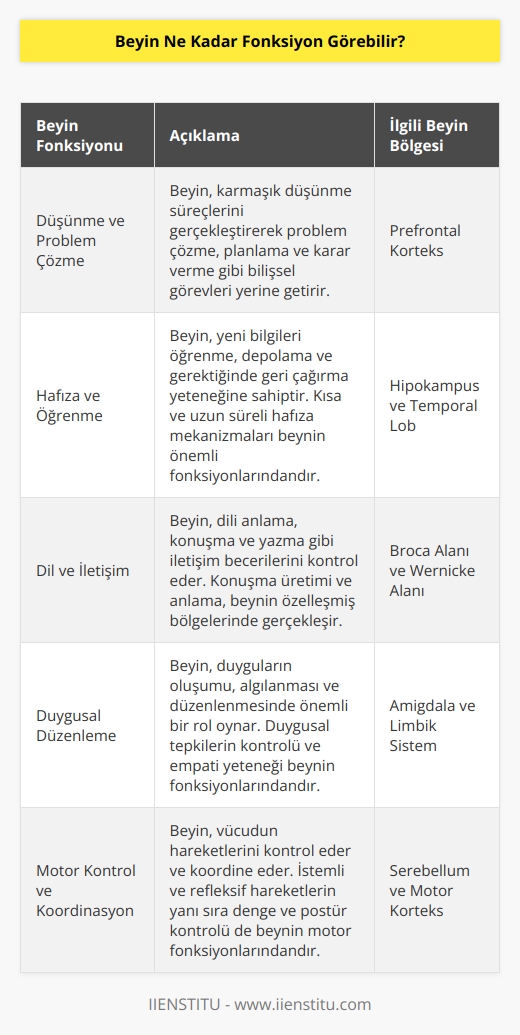Beyin çok yönlü ve karmaşık bir fonksiyon görebilme yeteneğine sahip. Beyin, düşünme, öğrenme, anımsama, konuşma, hareket etme, çevresel algılama ve duyu işlevleri gibi alanlarda çok sayıda fonksiyonu çalıştırabilir. Beyin aynı zamanda duyguları, öz-bilinci ve karar vermeyi de tetikleyebilir. Beynin gördüğü her görev için özel olarak uyarlanabilen ve öğrenme kabiliyeti olan bir özelliği vardır. Bu, beyinin neredeyse sonsuz fonksiyonu görebilme kapasitesine sahip olduğu anlamına gelir.